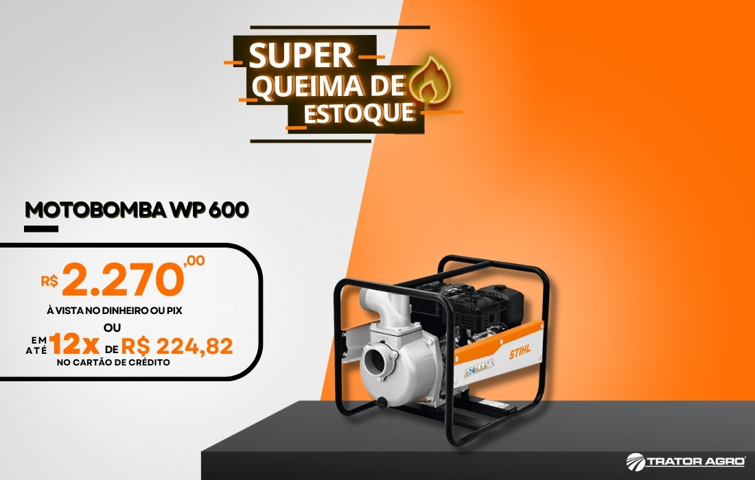 Motobomba WP 600